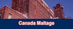 Canada Malt Plant, Montr�al,QC