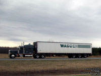 Wadden